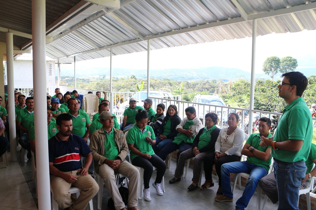 BIO-Kaffee aus KOLUMBIEN