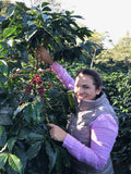 CABALLERO - BOMBA DE FRUTA #2. HONDURAS.