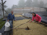 CABALLERO - BOMBA DE FRUTA #2. HONDURAS.