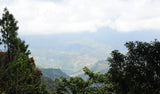 DECAF. SANTA FE ORGANIC. MEXIKO.