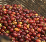DECAF. SANTA FE ORGANIC. MEXIKO.