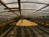 EL BOMBO MUJERES. ORGANIC. KOLUMBIEN.