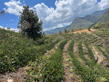 LAGUNA DE LOS CONDORES. ORGANIC. PERU.