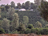 KAMATHURA. KAMAVINDI. KENIA