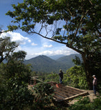 DECAF. SANTA FE ORGANIC. MEXIKO.